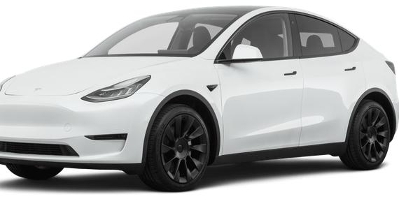 TESLA MODEL Y 2021 5YJYGDEE8MF074252 image